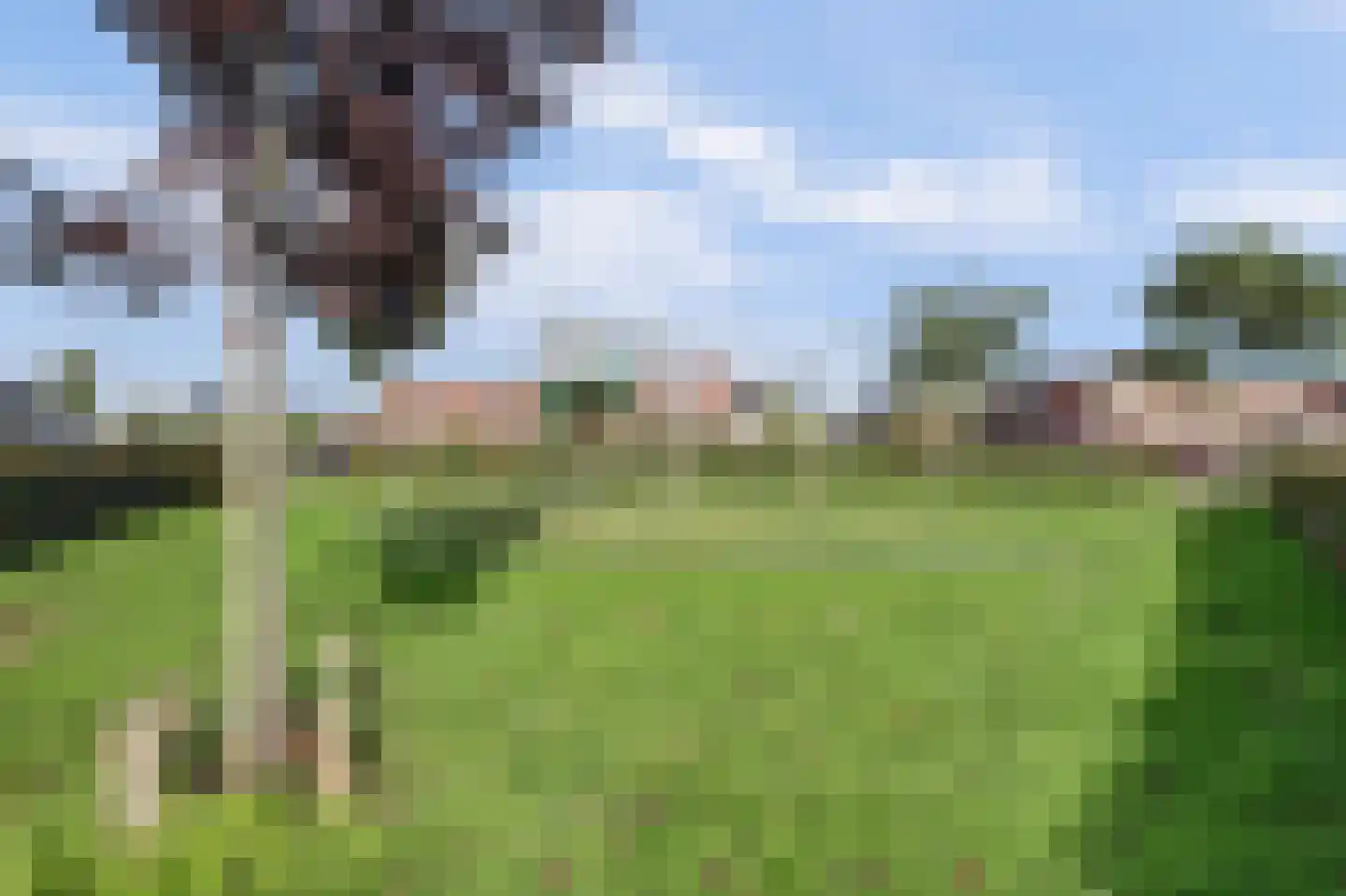 De Vier Winden 26 Zeewolde thumbnail 36