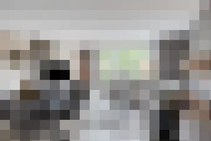 De Viermaster 15 Gasselternijveen thumbnail 11