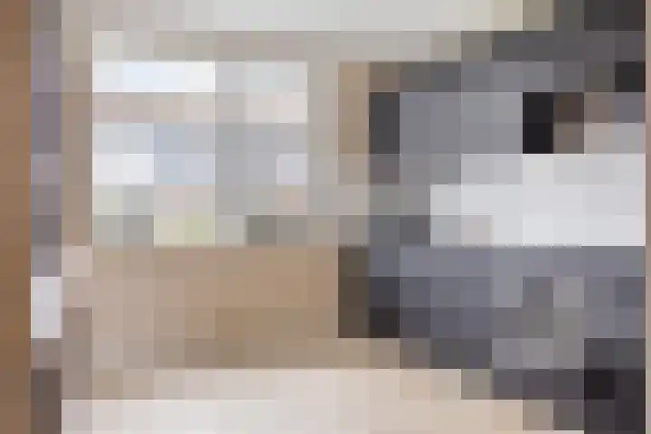 De Viermaster 15 Gasselternijveen thumbnail 20