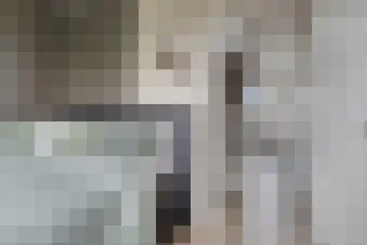 De Viermaster 15 Gasselternijveen thumbnail 31