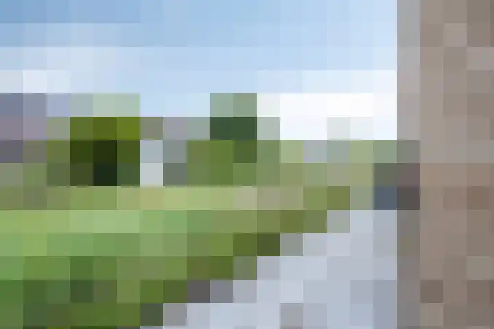 De Viermaster 15 Gasselternijveen thumbnail 48