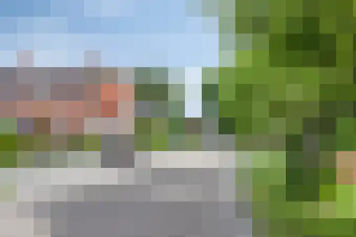 De Viermaster 15 Gasselternijveen thumbnail 50