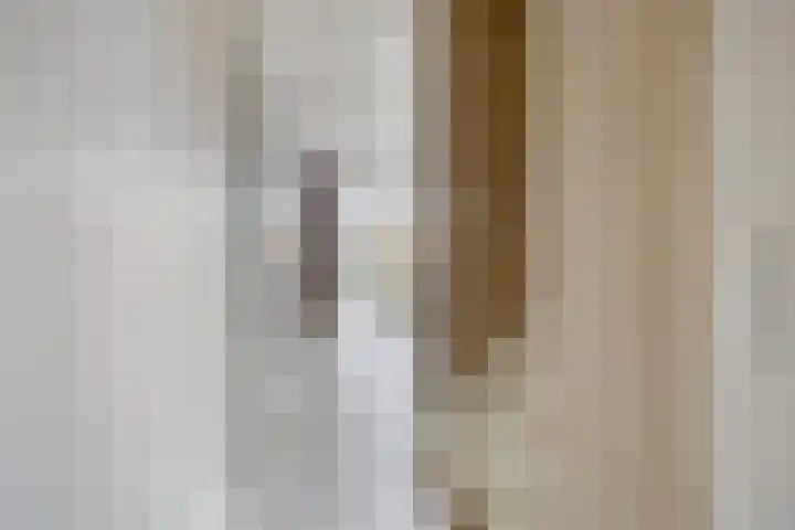 De Viermaster 15 Gasselternijveen thumbnail 8