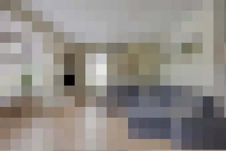 De Viermaster 22 Gasselternijveen thumbnail 11
