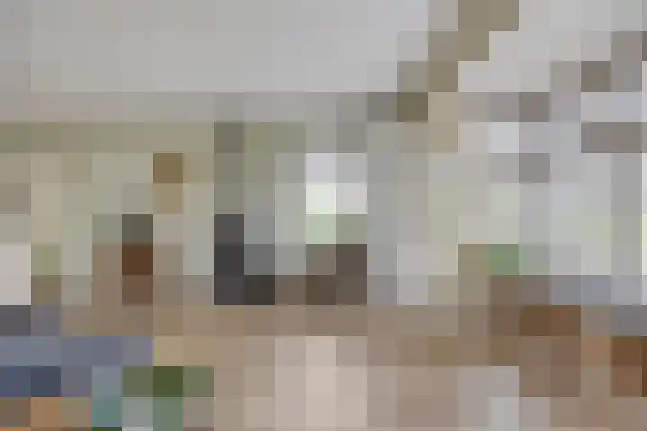 De Viermaster 22 Gasselternijveen thumbnail 12