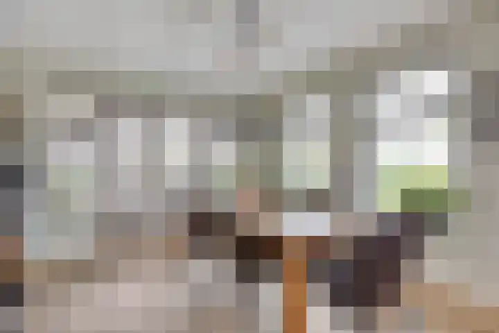 De Viermaster 22 Gasselternijveen thumbnail 16