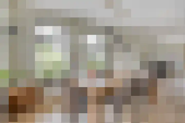 De Viermaster 22 Gasselternijveen thumbnail 17