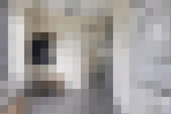 De Viermaster 22 Gasselternijveen thumbnail 23