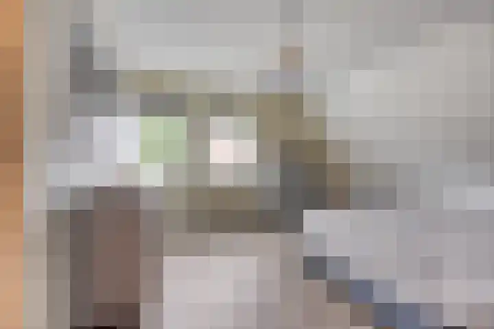 De Viermaster 22 Gasselternijveen thumbnail 25