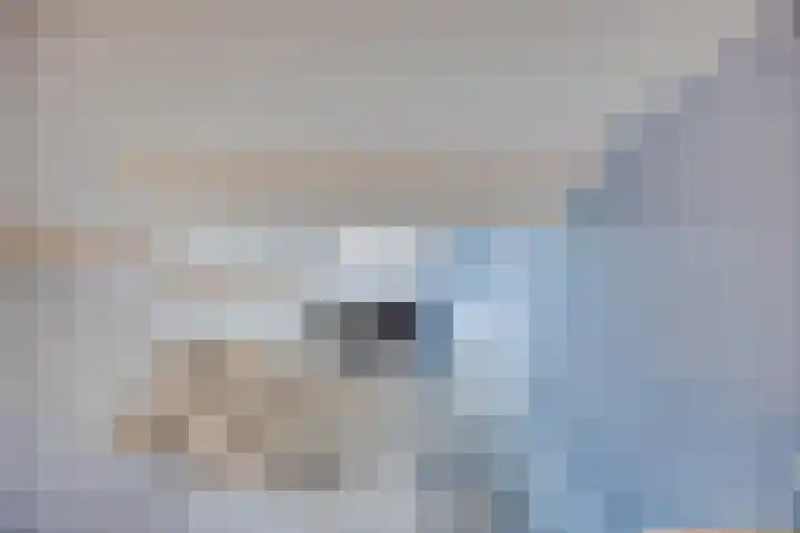 De Viermaster 22 Gasselternijveen thumbnail 34