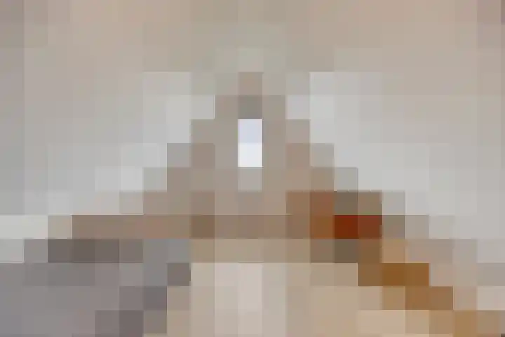 De Viermaster 22 Gasselternijveen thumbnail 36
