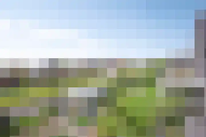 De Viermaster 22 Gasselternijveen thumbnail 38