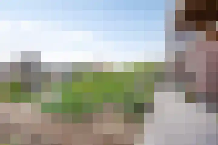 De Viermaster 22 Gasselternijveen thumbnail 39