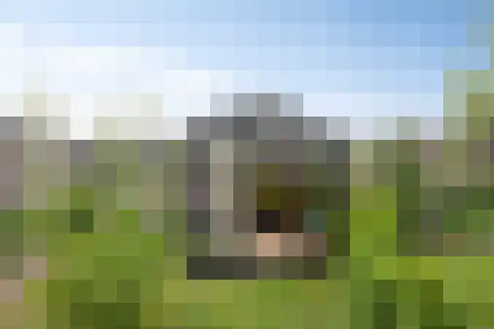 De Viermaster 22 Gasselternijveen thumbnail 41