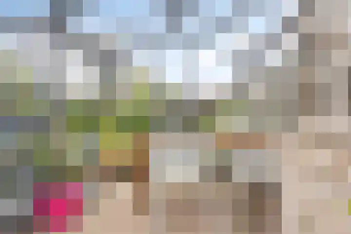De Viermaster 22 Gasselternijveen thumbnail 42