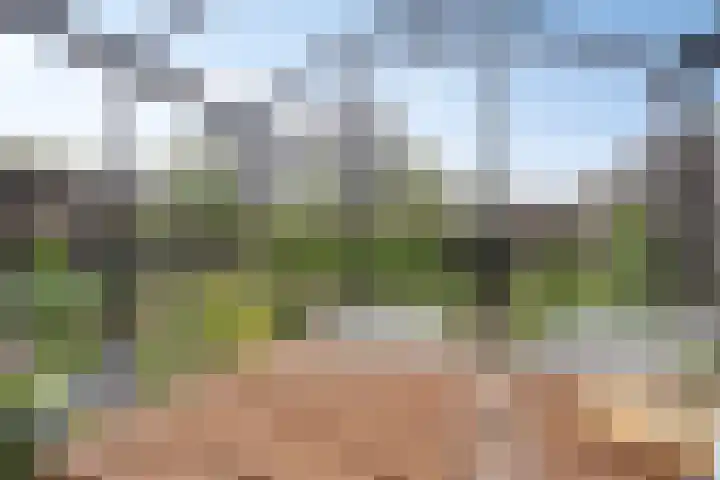 De Viermaster 22 Gasselternijveen thumbnail 43
