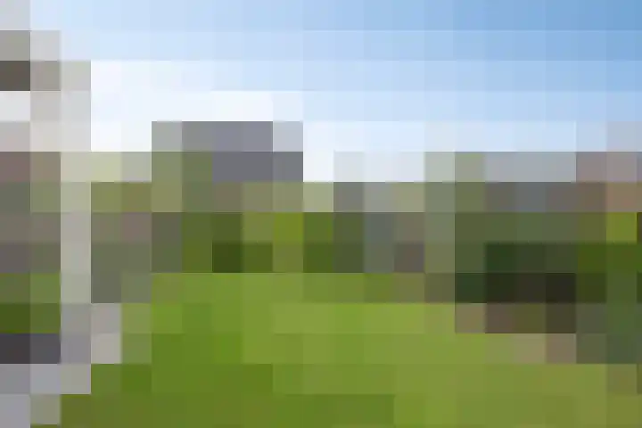 De Viermaster 22 Gasselternijveen thumbnail 44