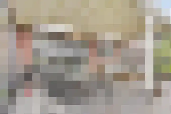 De Viermaster 22 Gasselternijveen thumbnail 45