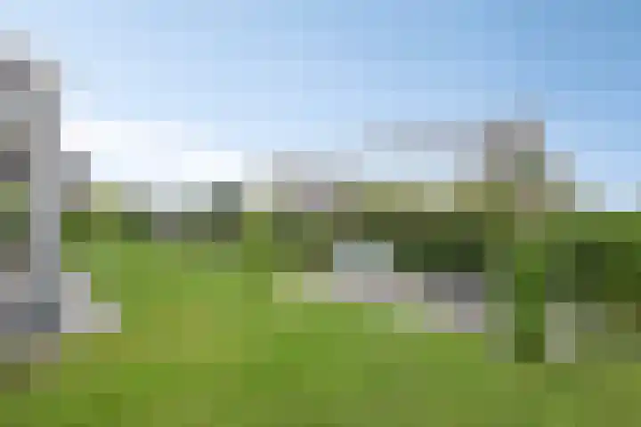 De Viermaster 22 Gasselternijveen thumbnail 47