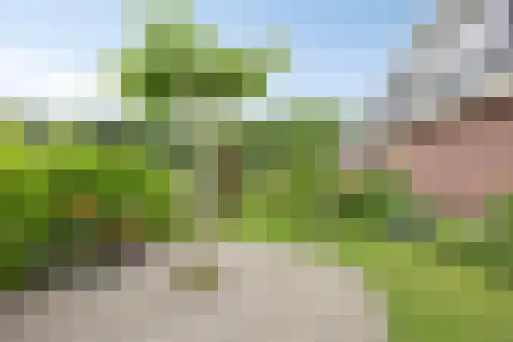 De Viermaster 22 Gasselternijveen thumbnail 48