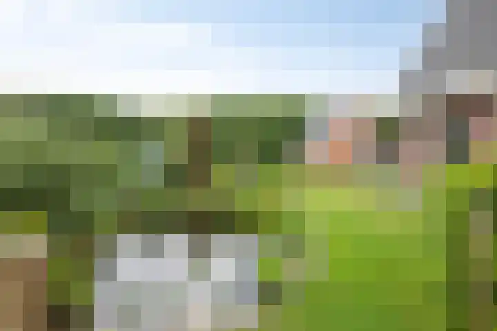 De Viermaster 22 Gasselternijveen thumbnail 49