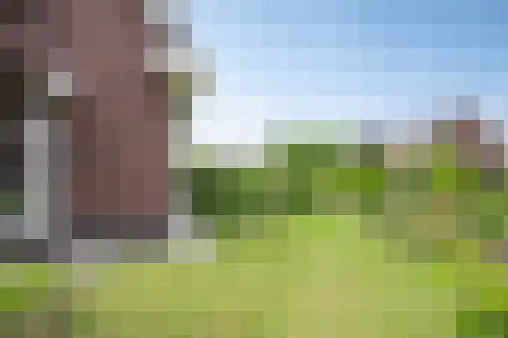 De Viermaster 22 Gasselternijveen thumbnail 5