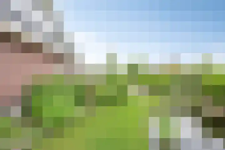 De Viermaster 22 Gasselternijveen thumbnail 50