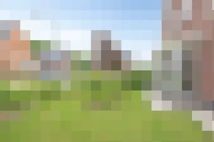De Viermaster 22 Gasselternijveen thumbnail 51