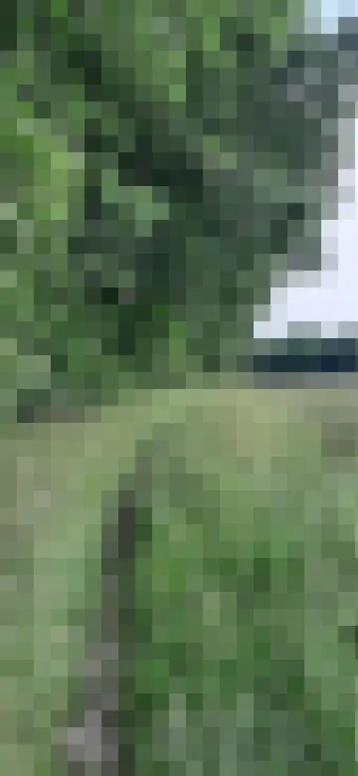 De Viermaster 22 Gasselternijveen thumbnail 52