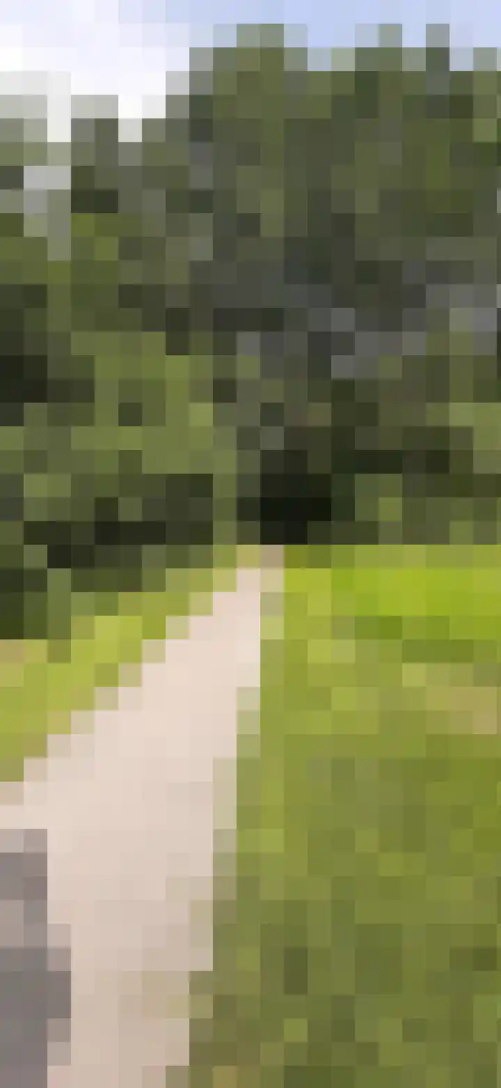 De Viermaster 22 Gasselternijveen thumbnail 53