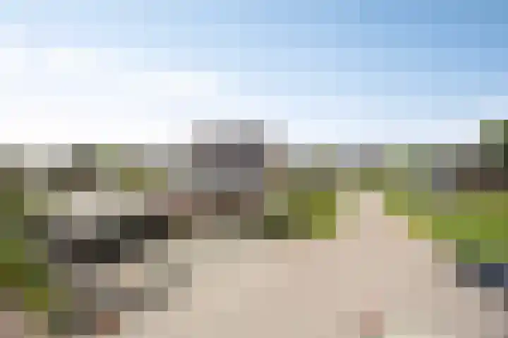 De Viermaster 22 Gasselternijveen thumbnail 56
