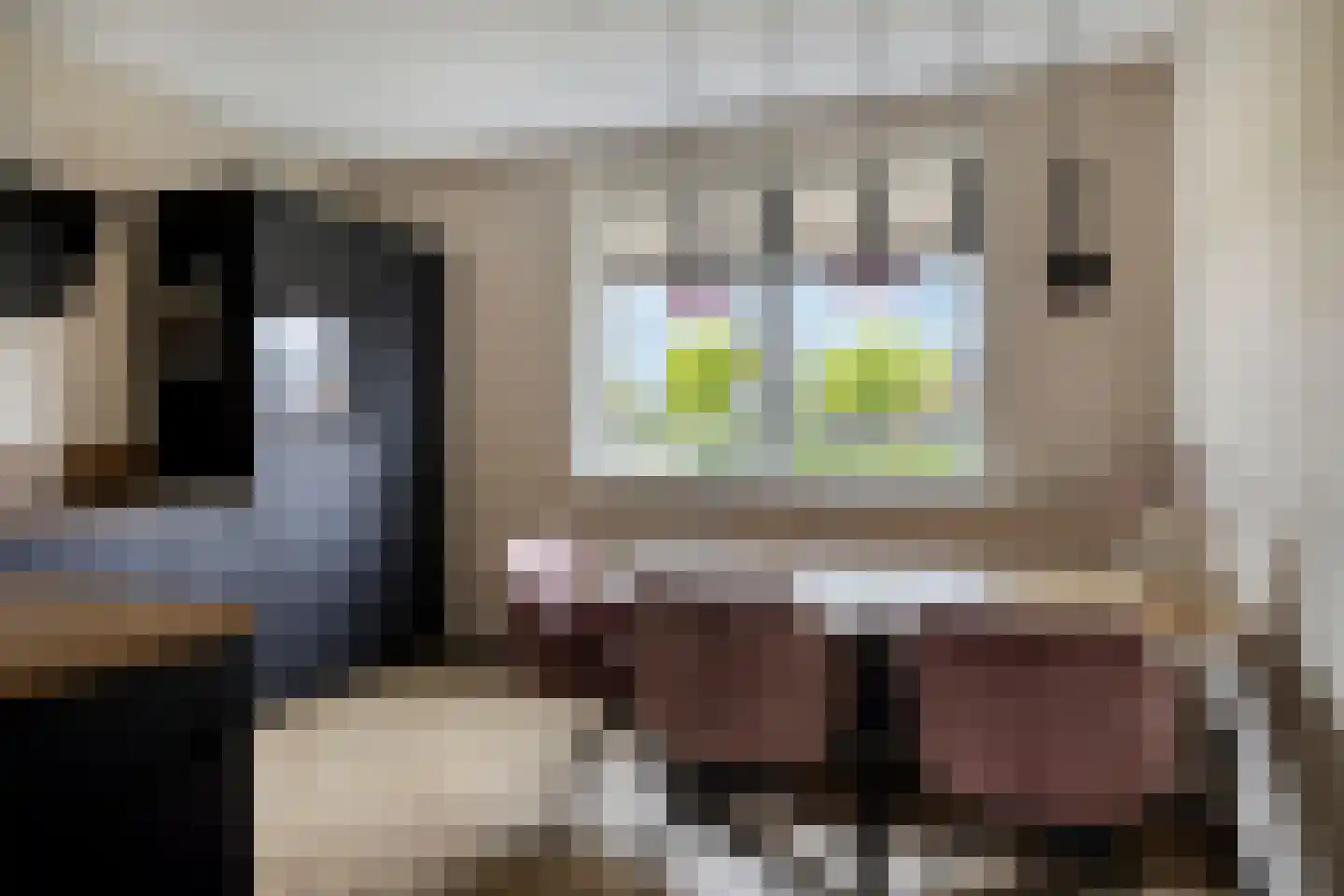 De Viermaster 25 Gasselternijveen thumbnail 24