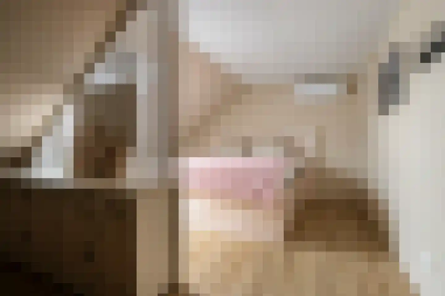 De Viermaster 25 Gasselternijveen thumbnail 53
