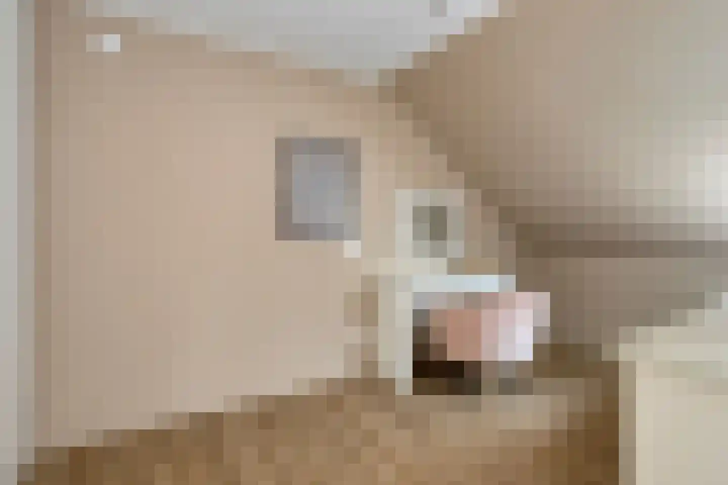 De Viermaster 25 Gasselternijveen thumbnail 55