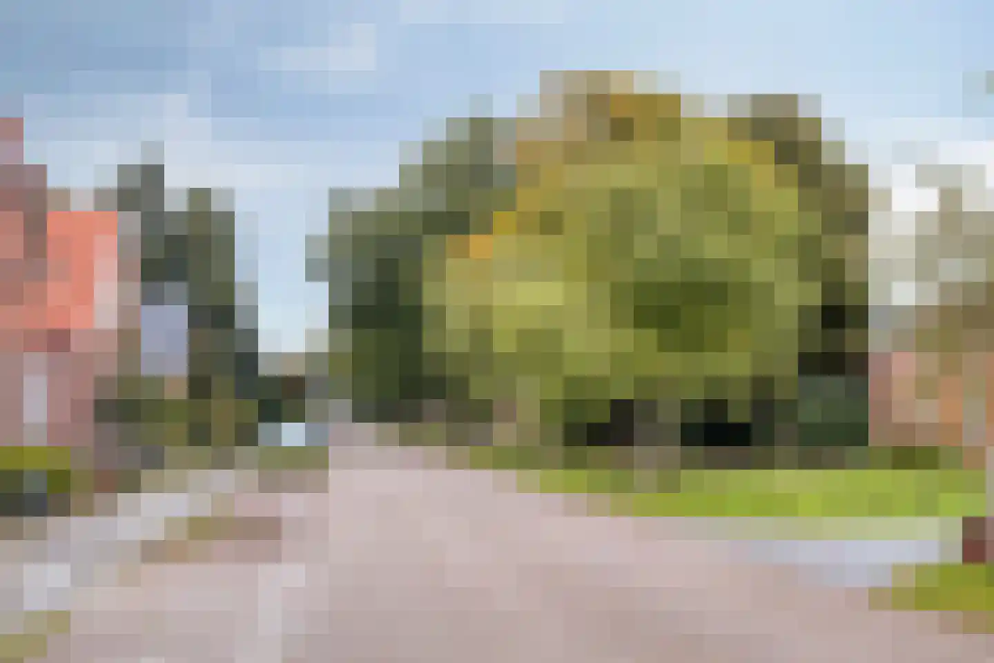 De Viermaster 25 Gasselternijveen thumbnail 76