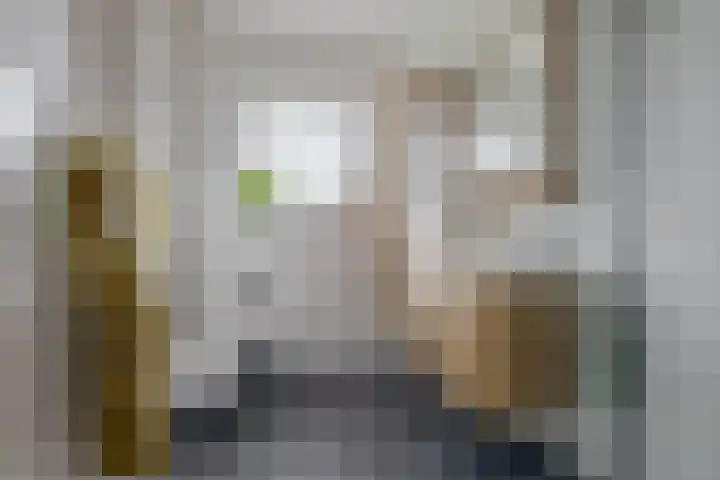 De Viermaster 29 Gasselternijveen thumbnail 32