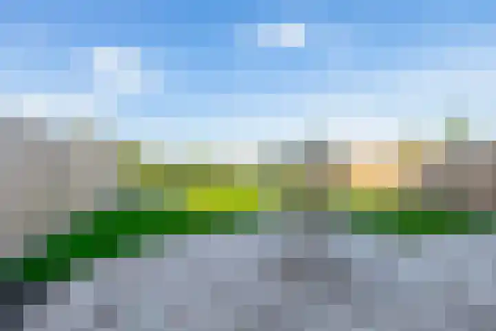 De Viermaster 29 Gasselternijveen thumbnail 43