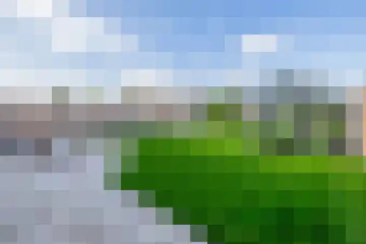 De Viermaster 29 Gasselternijveen thumbnail 46
