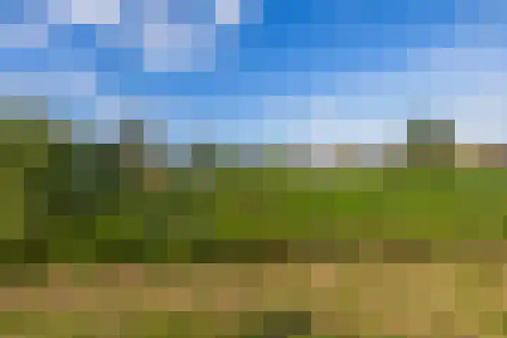 De Viermaster 29 Gasselternijveen thumbnail 50