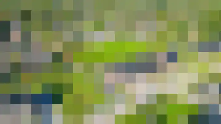 De Viermaster 29 Gasselternijveen thumbnail 52