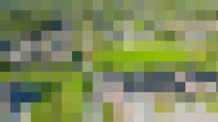De Viermaster 29 Gasselternijveen thumbnail 53