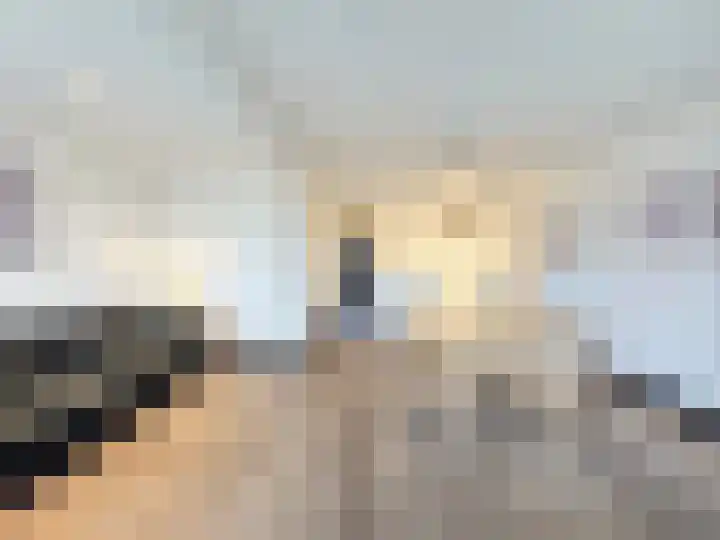 Mannschaftsfoto von De VIERWINDEN makelaardij