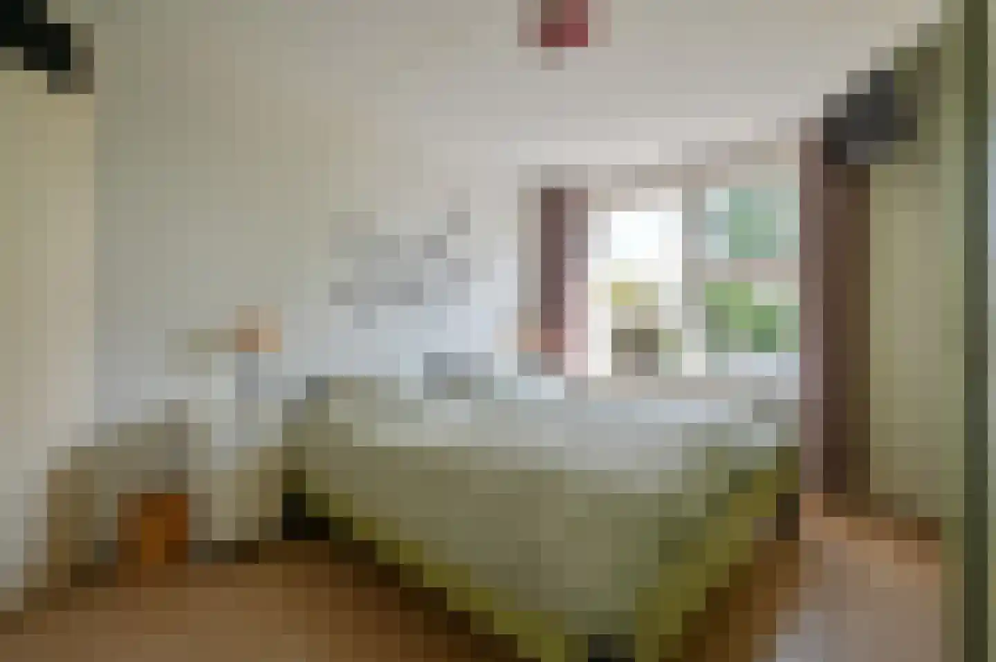 De Vijnen 2 Nederhorst den Berg thumbnail 18