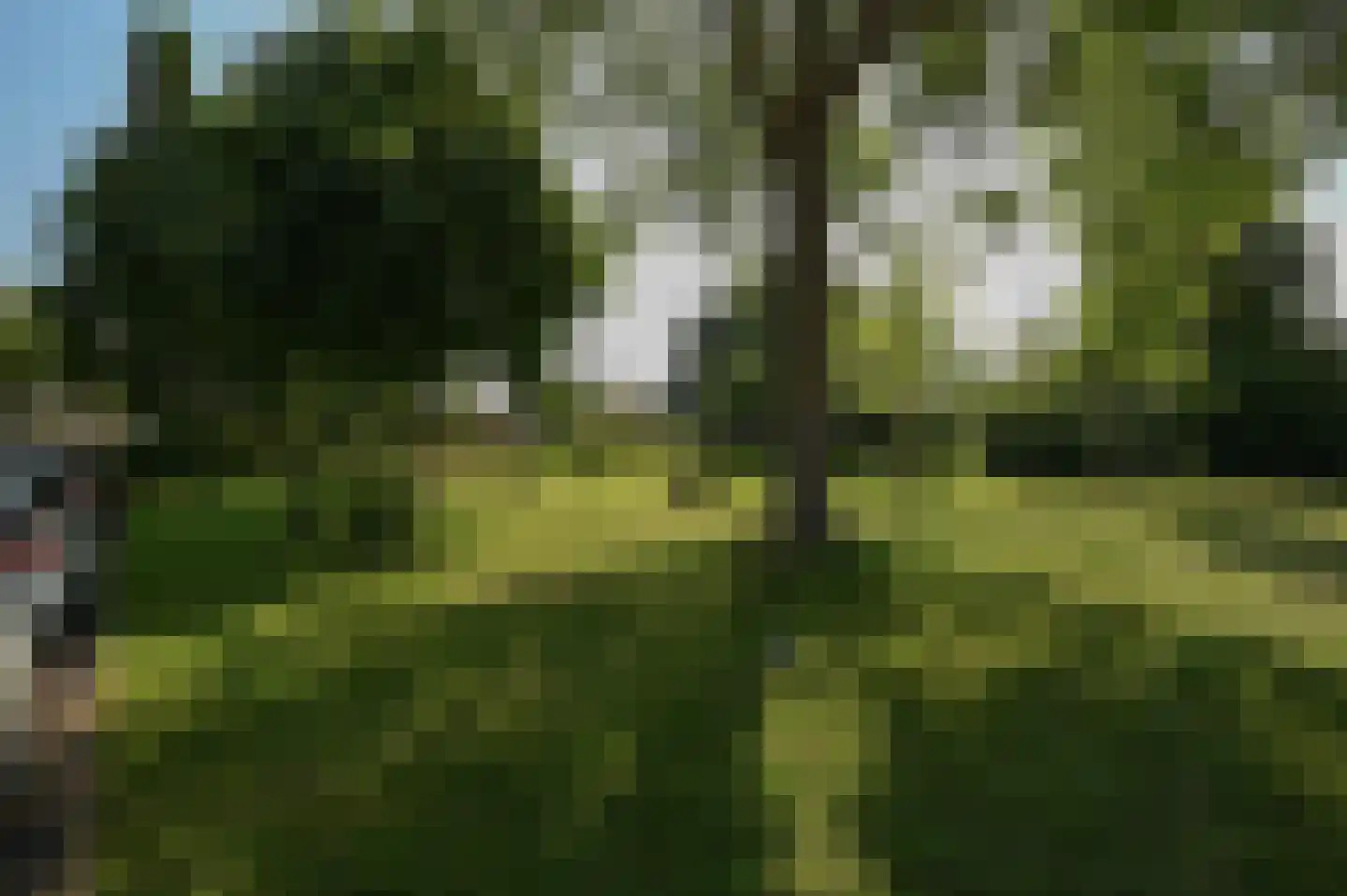 De Vijnen 2 Nederhorst den Berg thumbnail 32