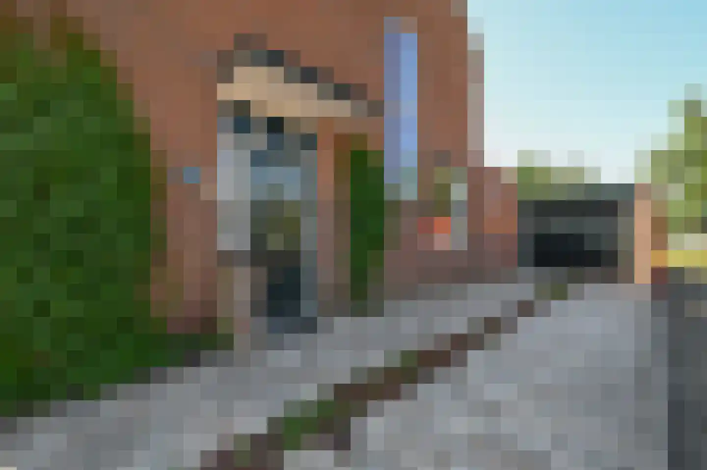De Vijnen 2 Nederhorst den Berg thumbnail 4