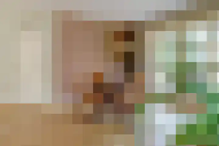 De Vijzel 4 Hapert thumbnail 10