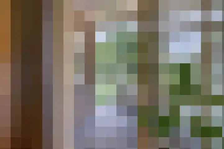 De Vijzel 4 Hapert thumbnail 11