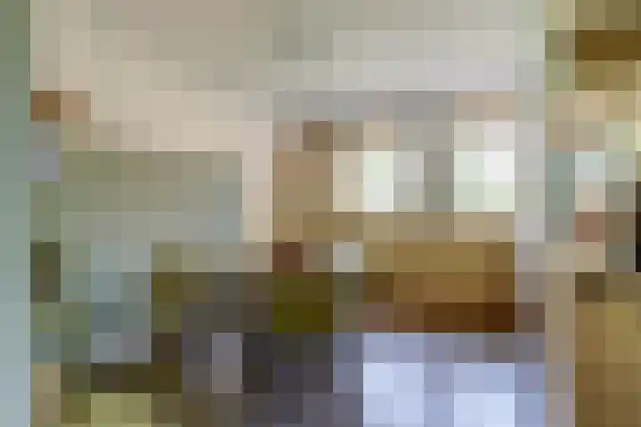 De Vijzel 4 Hapert thumbnail 14