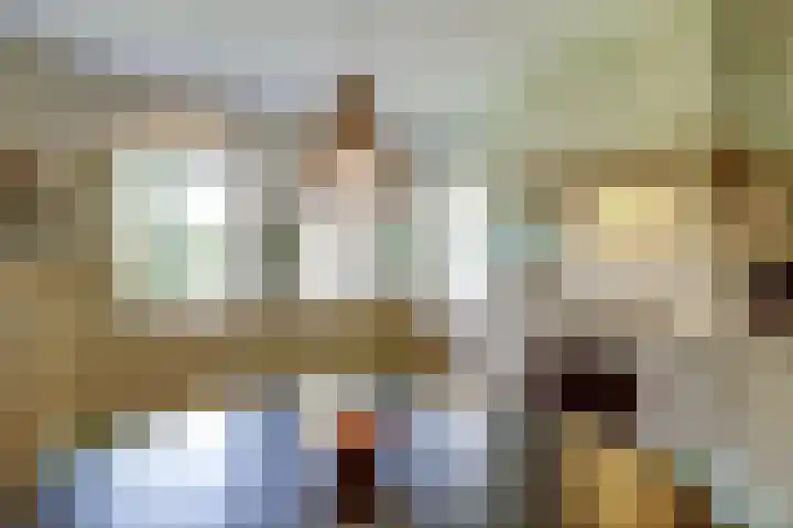 De Vijzel 4 Hapert thumbnail 15