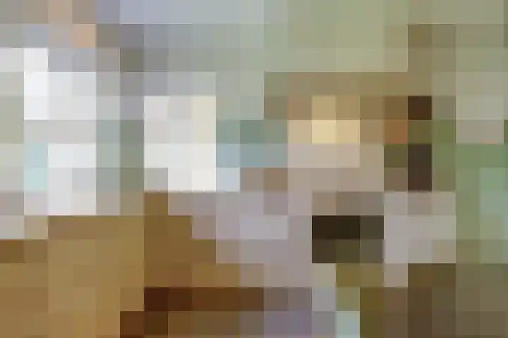 De Vijzel 4 Hapert thumbnail 16